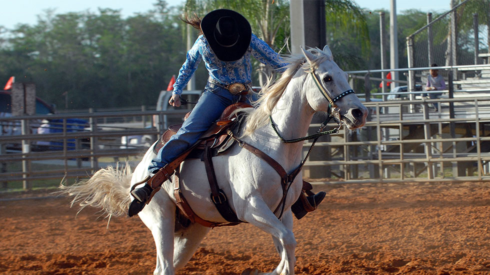 Cowgirl on a horse. Rodeo in Texas
