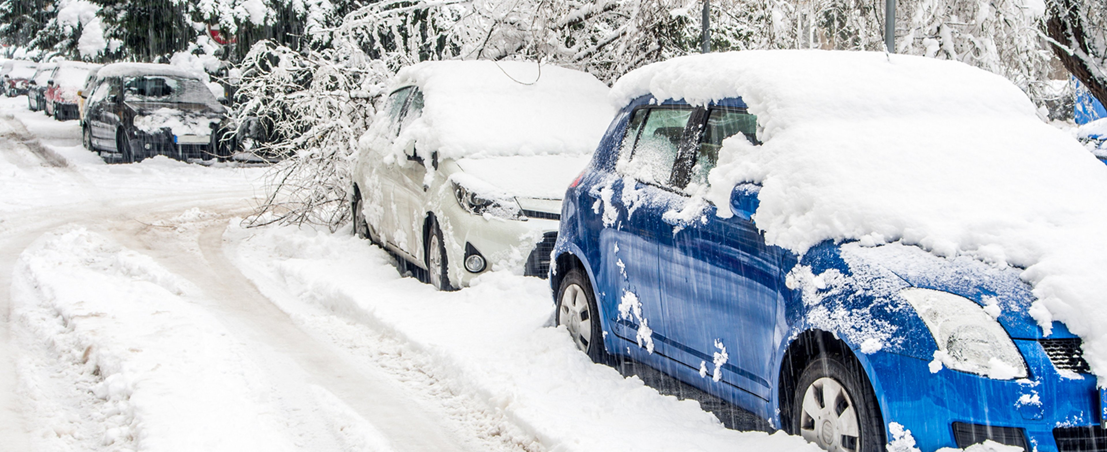 Snow Covered Cars