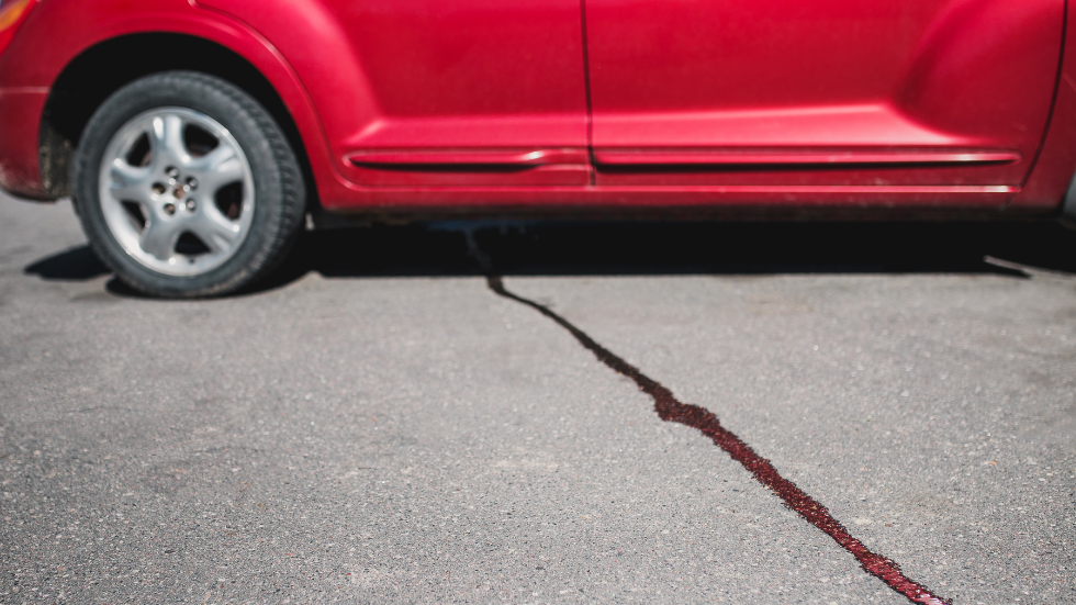 Warning Signs of a Power Steering Fluid Leak