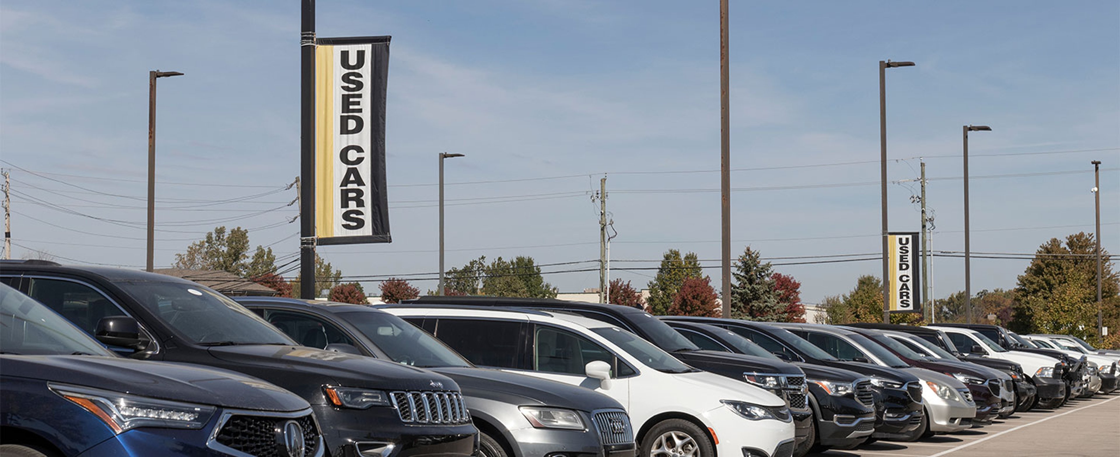 Used cars for sale at a dealership
