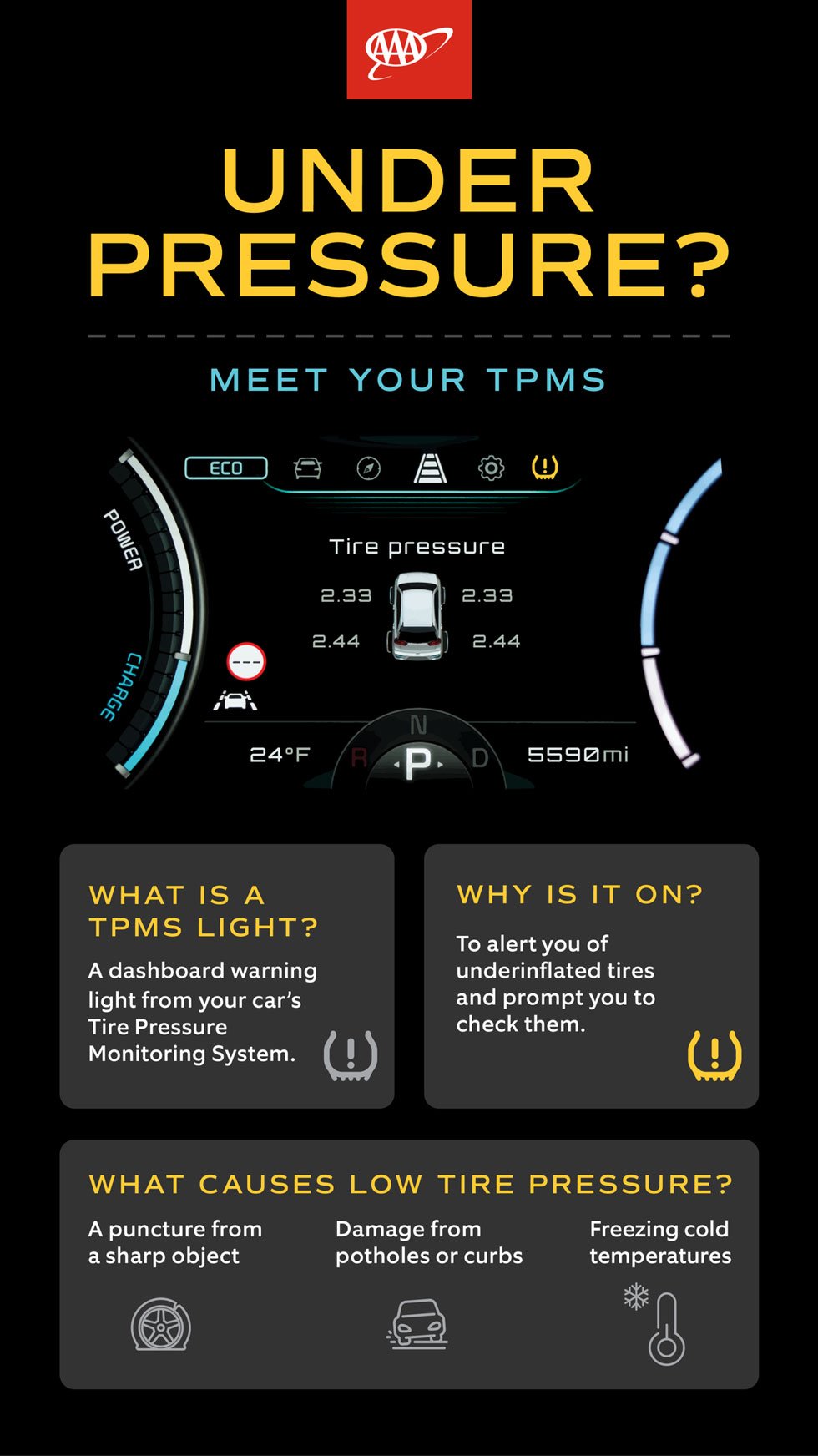 Infographic