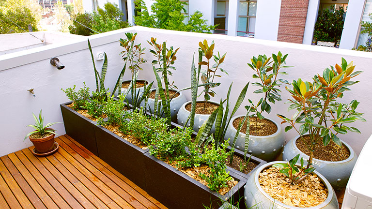 Urban roof terrace with plants; Credit: weareadventurers