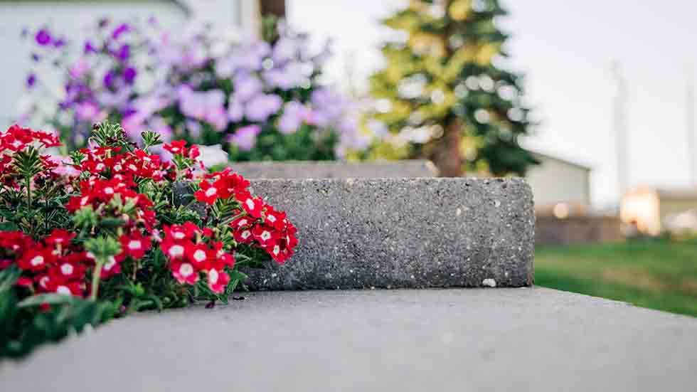 Curb Flower