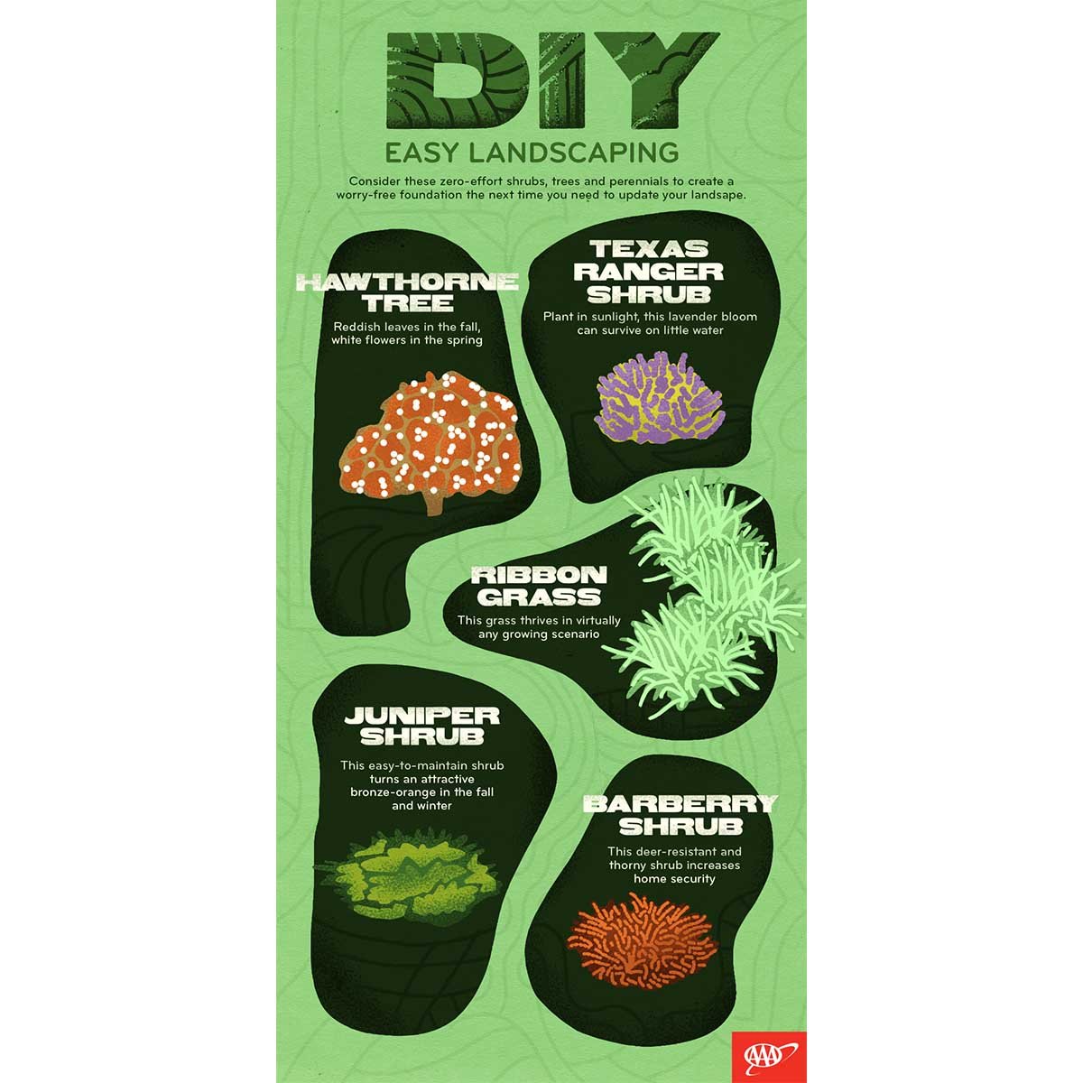 Info DIY