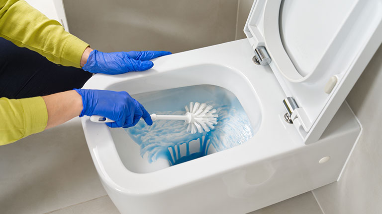 Wall mounted toilet cleaning with detergent. Woman hotel maid cleans a bathroom toilet with a scrub brush. household service. Modern flush toilet. Cleaning See Less By Ilja