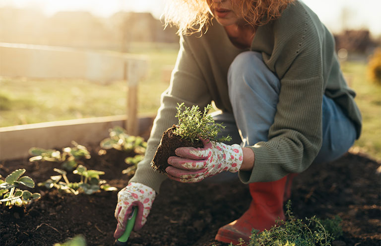 woman planting plants in garden