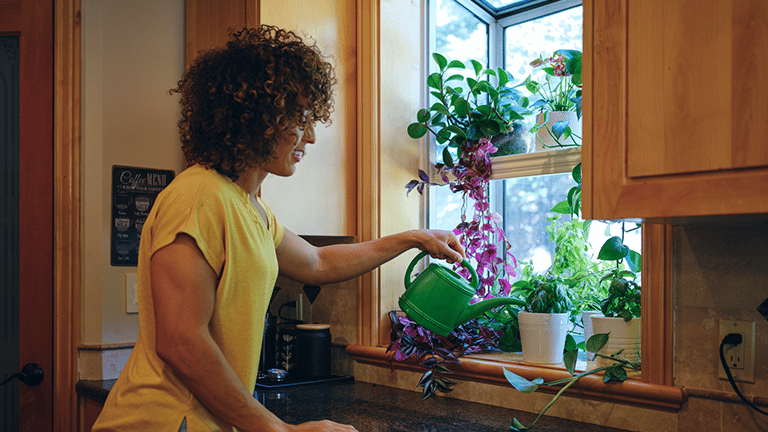 A woman tending to her herb garden in her home kitchen. Credit: O2O Creative