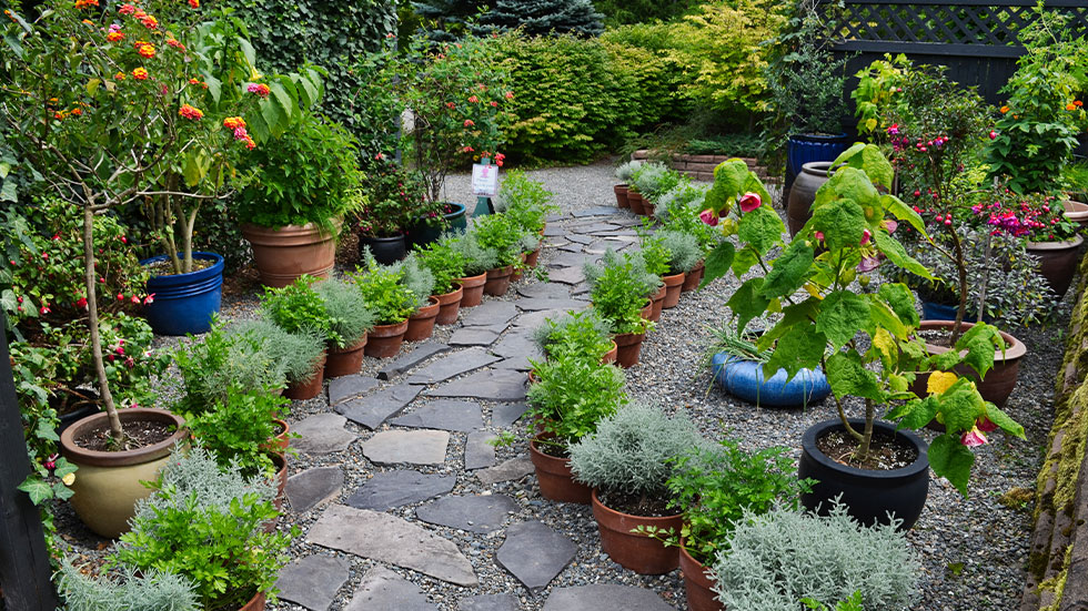 container garden