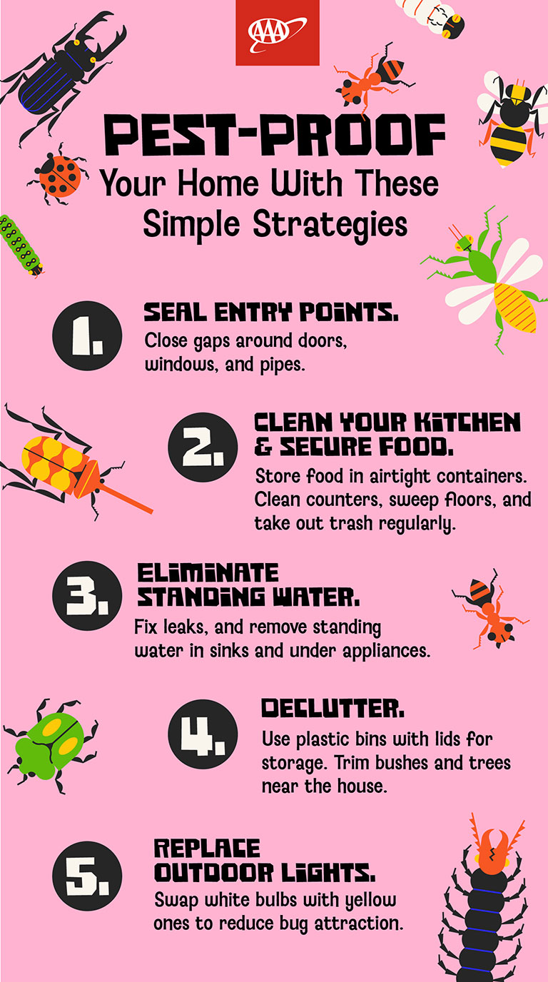 infographic on pest proofing your home