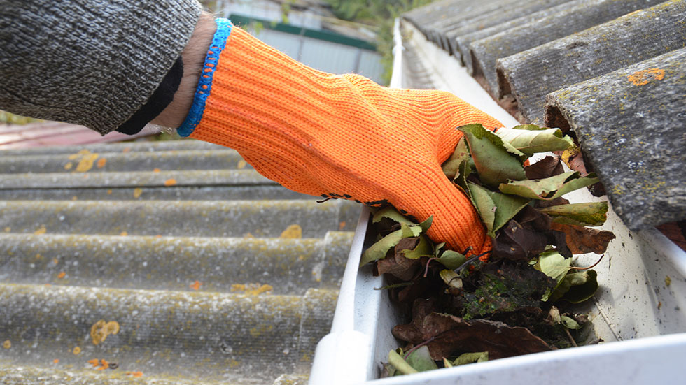 Clean out gutter