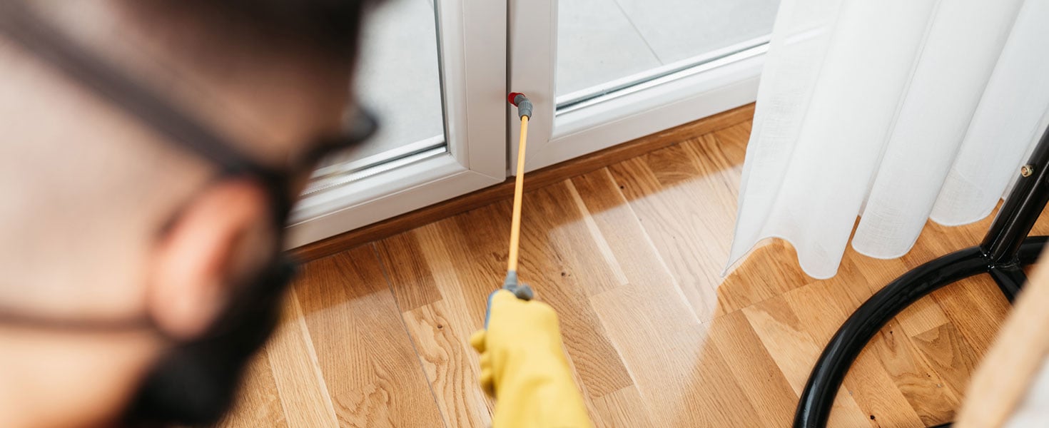How to Prevent Common Household Pests