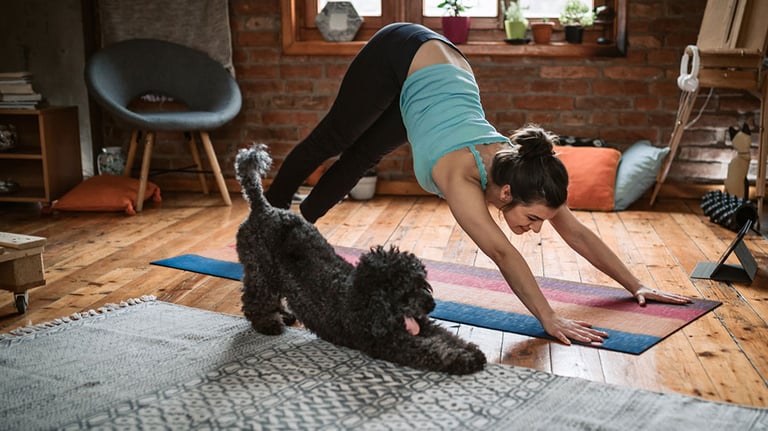 Young woman practicing downward facing dog pose playing with her pet in the living room; Credit: hobo_018