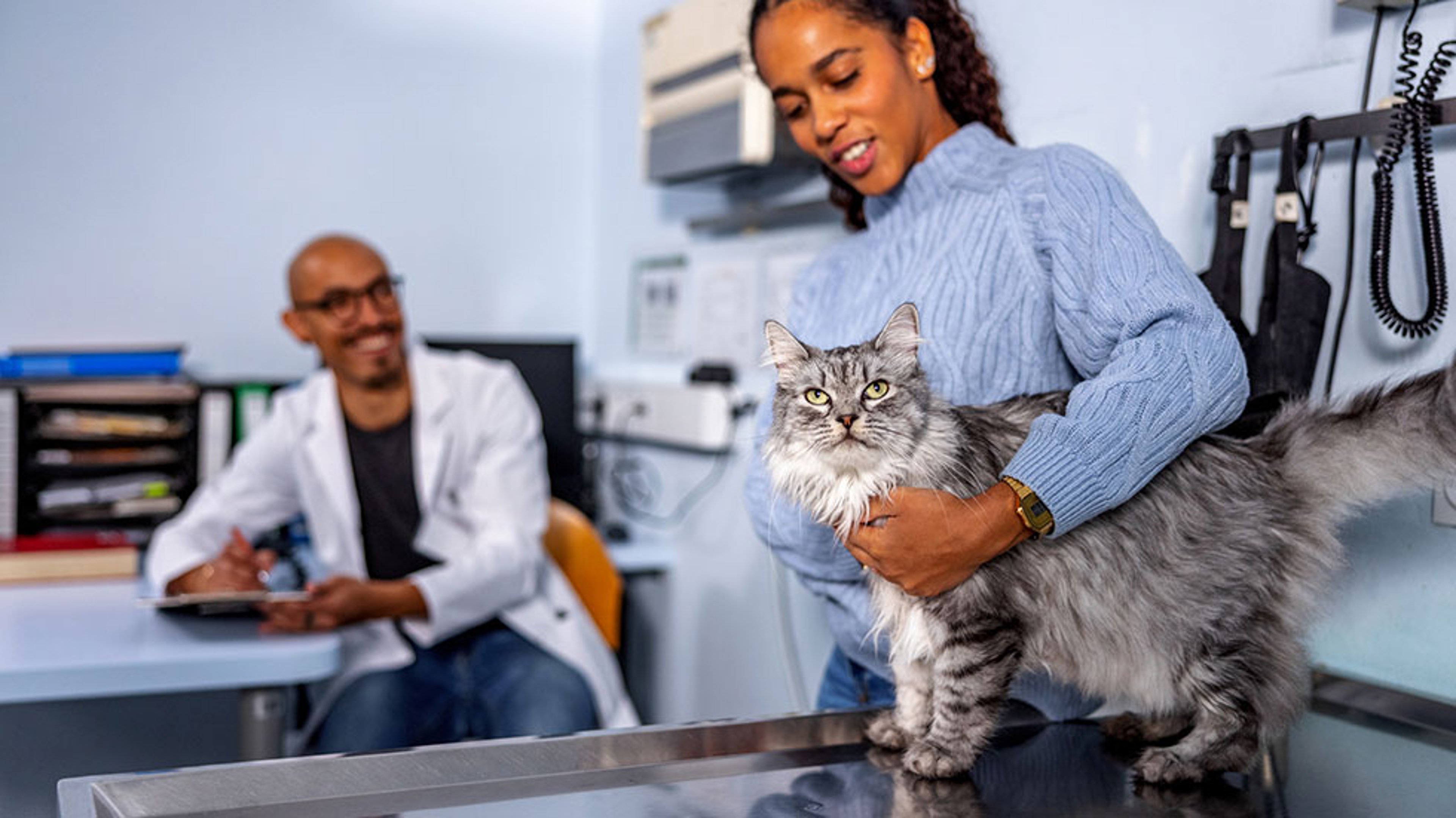 Hispanic veterinarian is filing a report after examining the cat in a veterinary clinic. Female Latin owner holding a cat gently on the exam table and calms her kitten; Credit: AzmanJaka