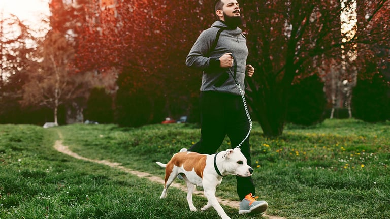 Man jogging with his pet, staffordshire bull terrier. He is jogging in his neighborhood; Credit: vgajic