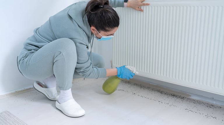 Woman Spraying Insecticide With Sprayer At Home; Credit: AquaArts studio