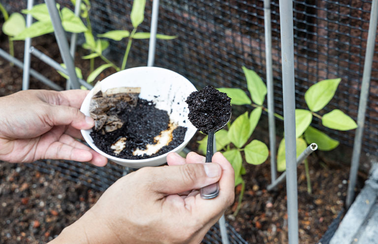 coffee grounds being used for compost