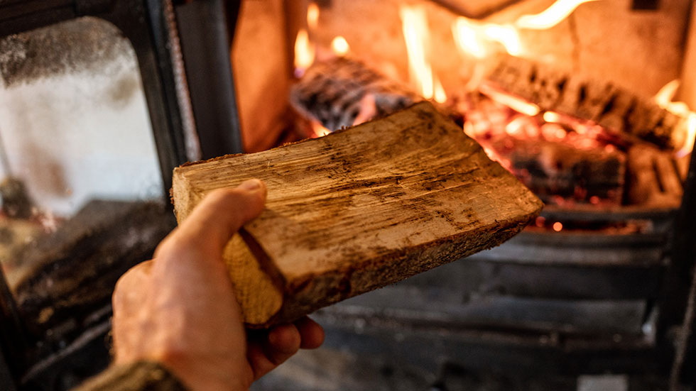 Wood for fire