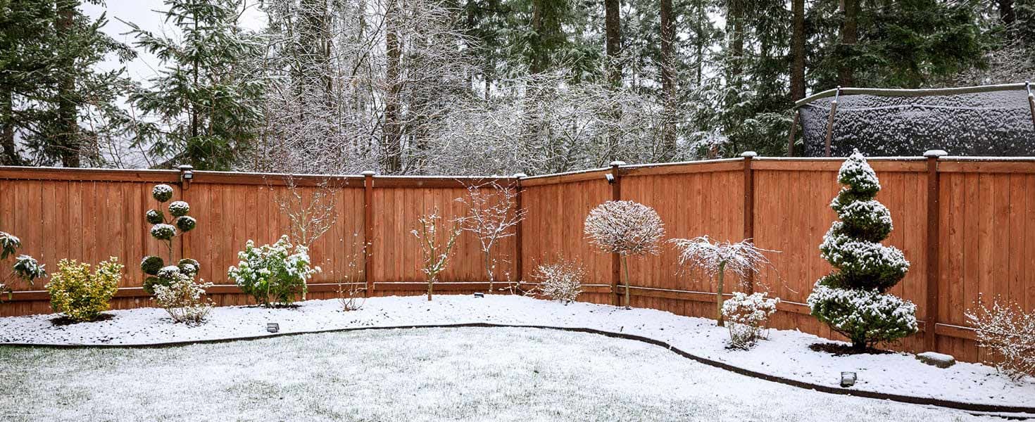 Winter Lawn Tips