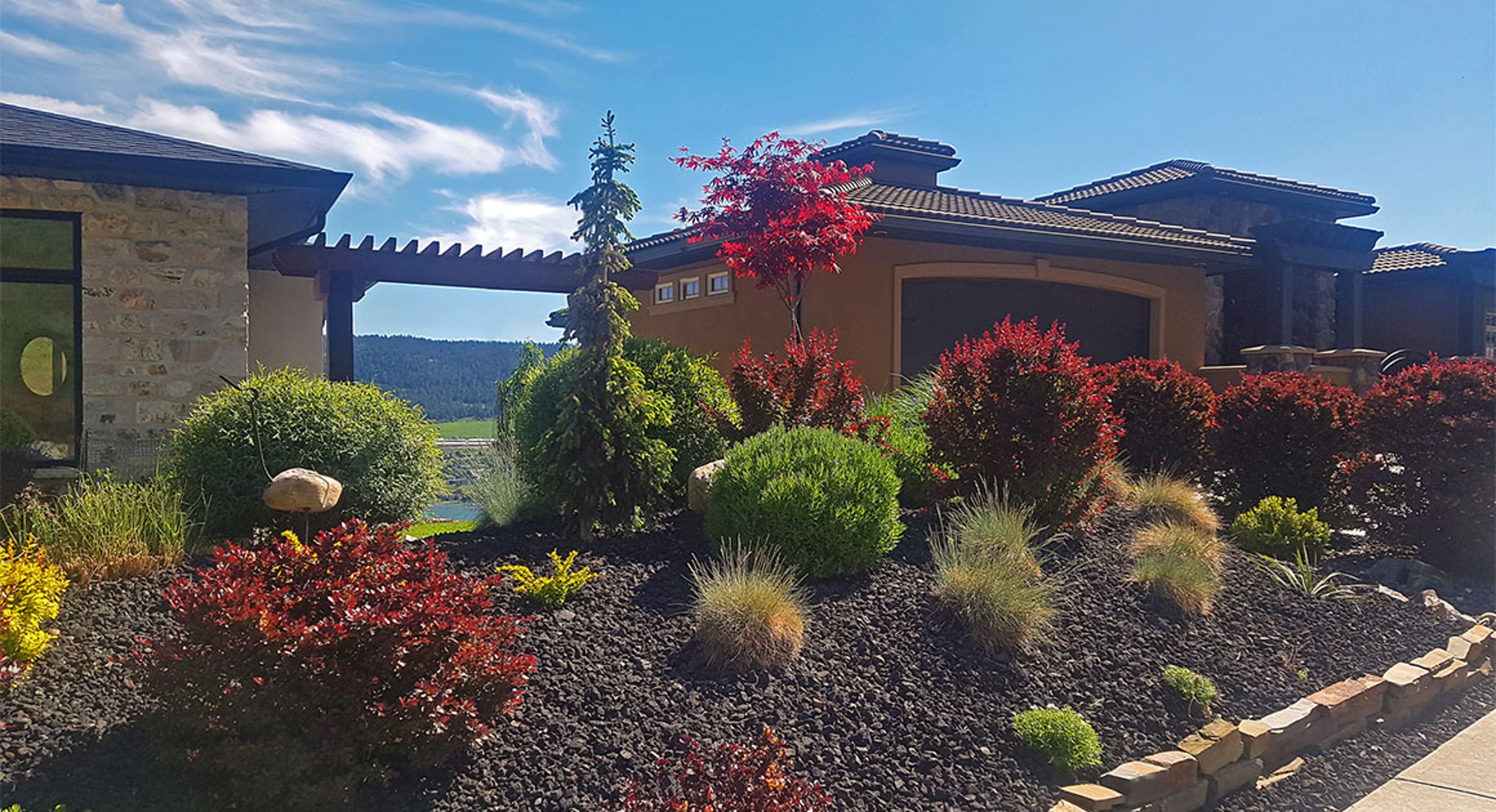 xeriscaped yard
