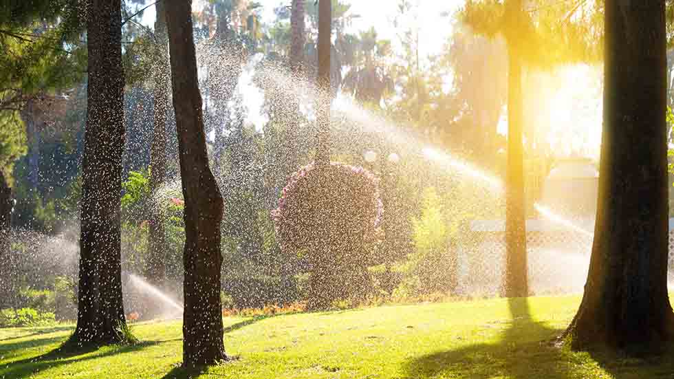 Watering the Lawn