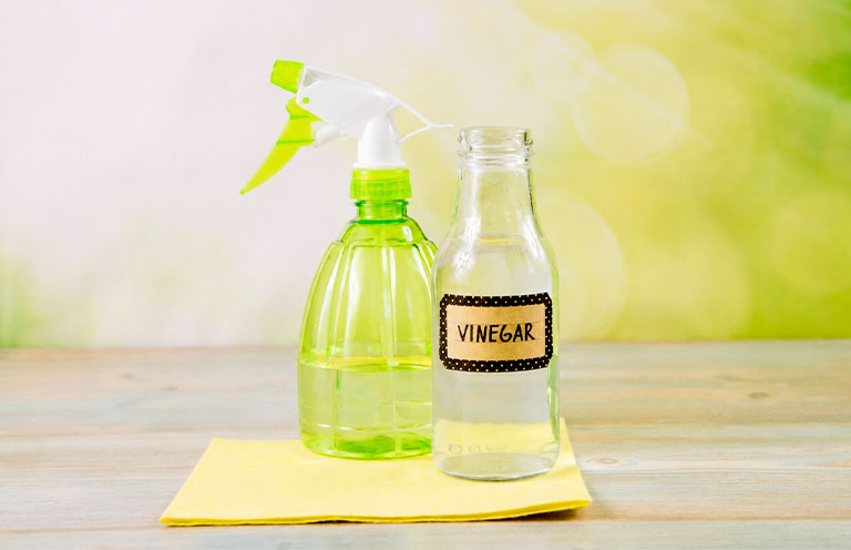 water vinegar and spray bottle