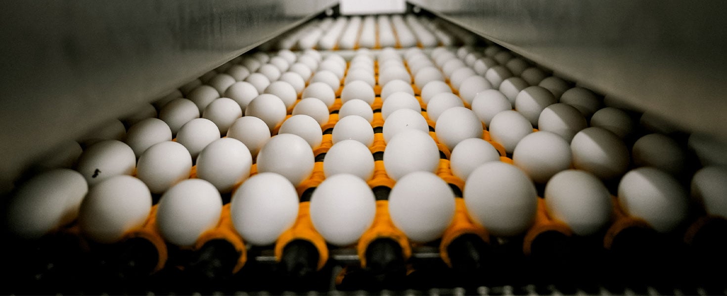 Braswell Family Farm eggs