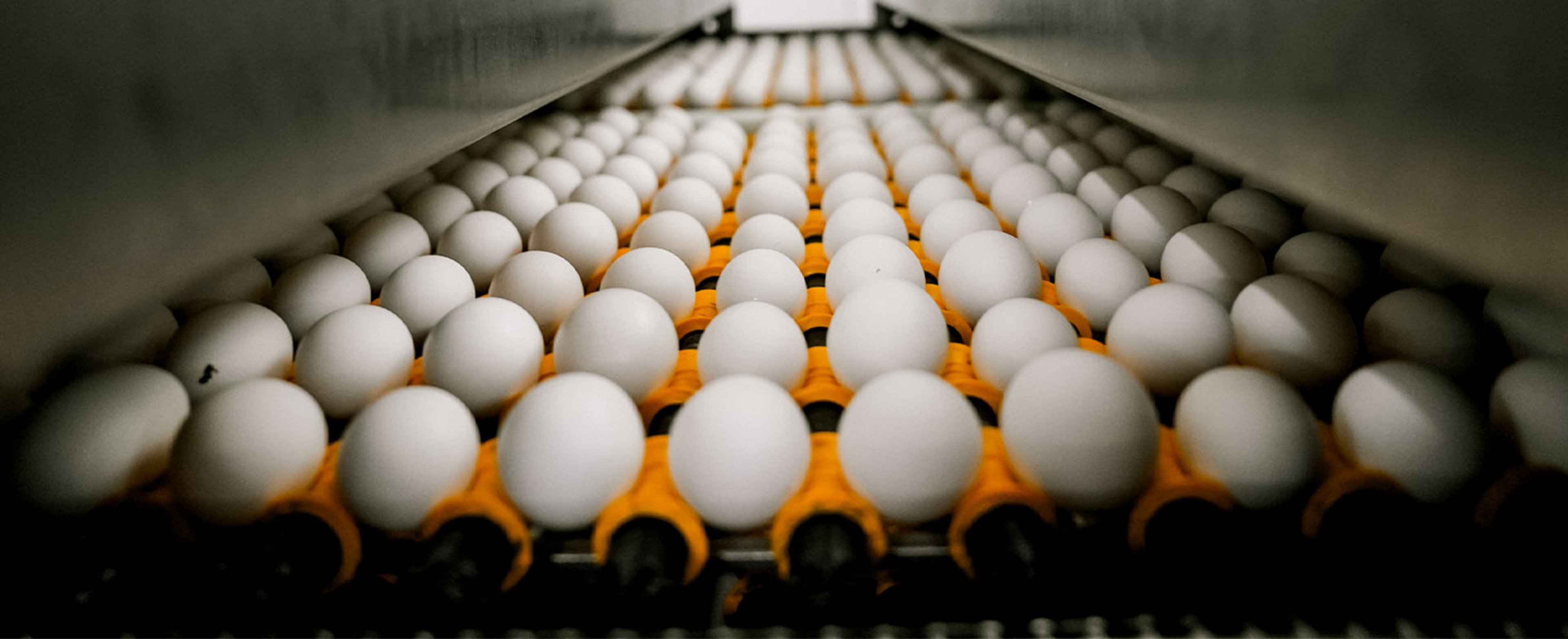Braswell Family Farm eggs