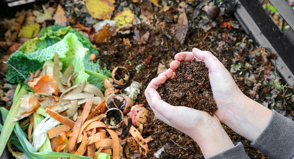 hands holding compost above composter with organic waste