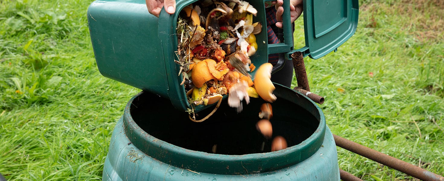 Composting 101