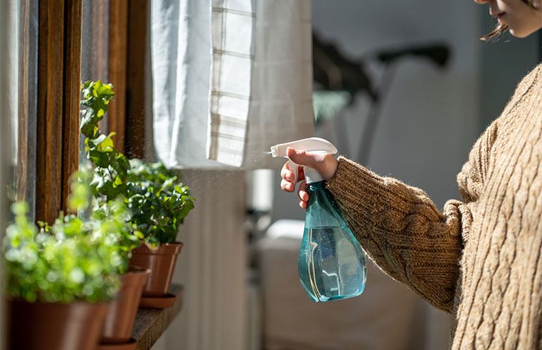 woman spraying mixture from spray bottle onto plants on window sill