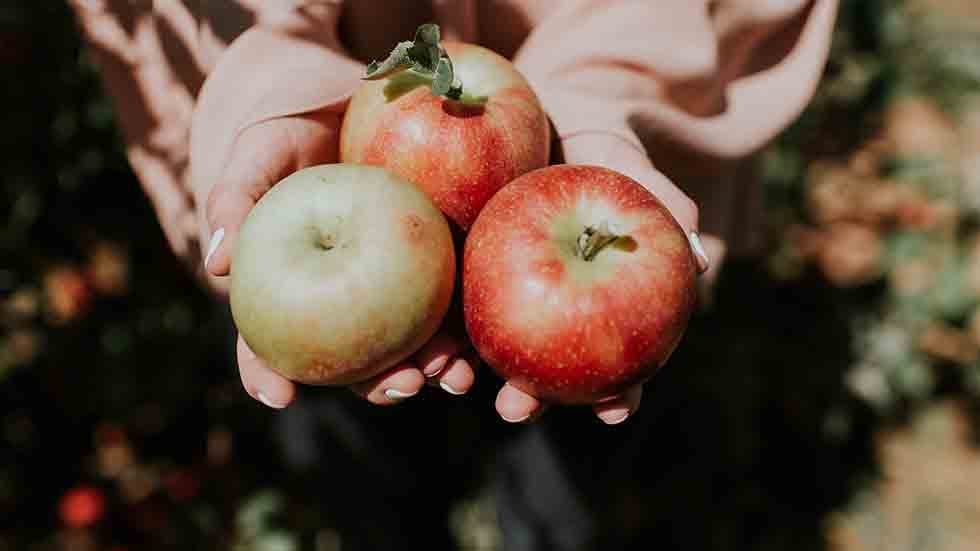 Apples