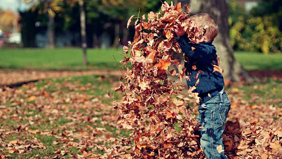 Playing in the leaves