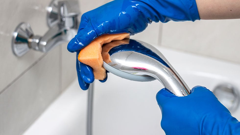 Cleaning showerhead