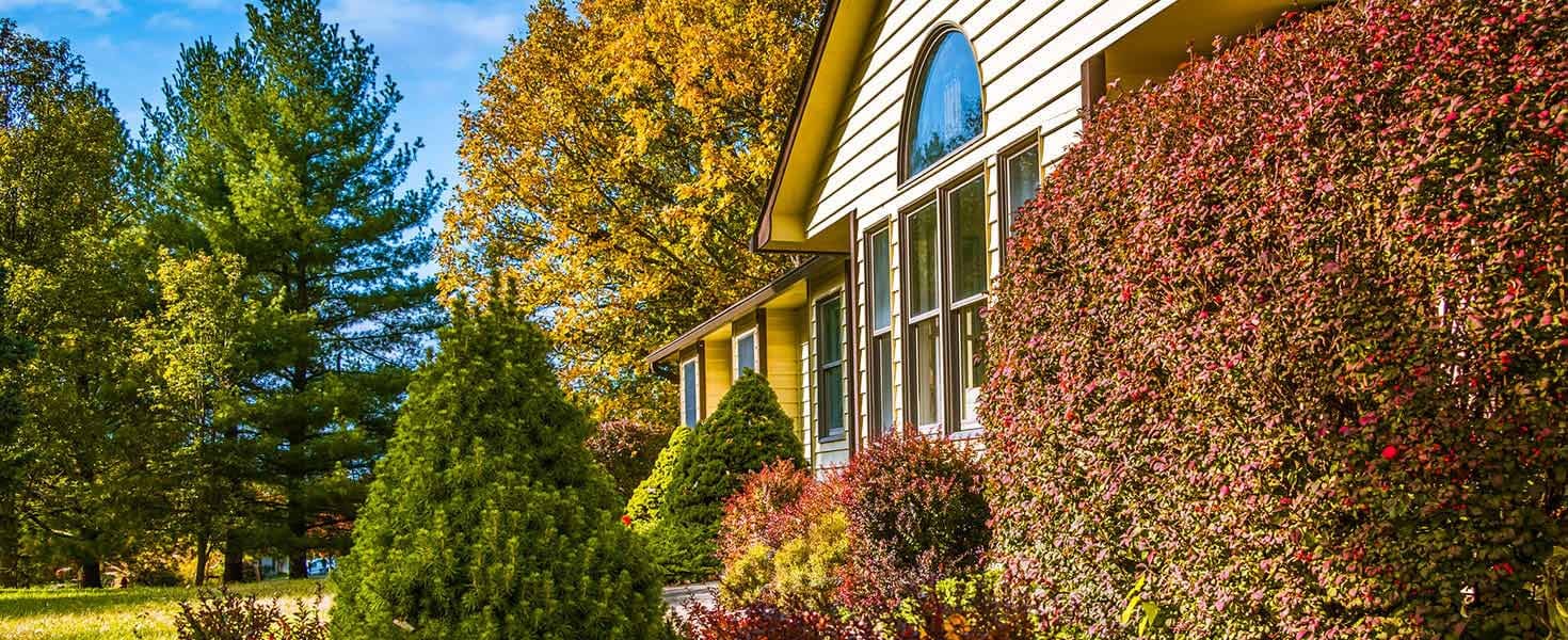 Jump Start Next Years Garden This Fall