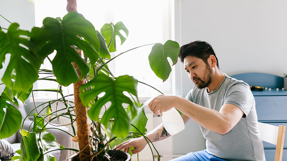 Woman with plant