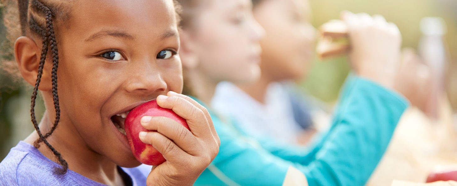 Portrait Of Girl With Friends Eating Healthy Picnic At Outdoor Table In Countryside.  Credit: monkeybusinessimages