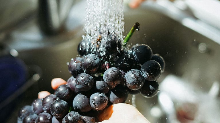 Washing graph in fresh morning.  Credit: Manki Kim with Unsplash
