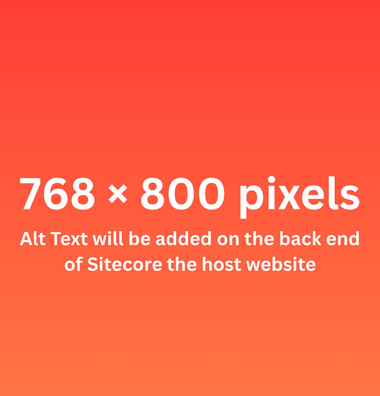 Alt text should briefly describe the image content to support accessibility and improve SEO.