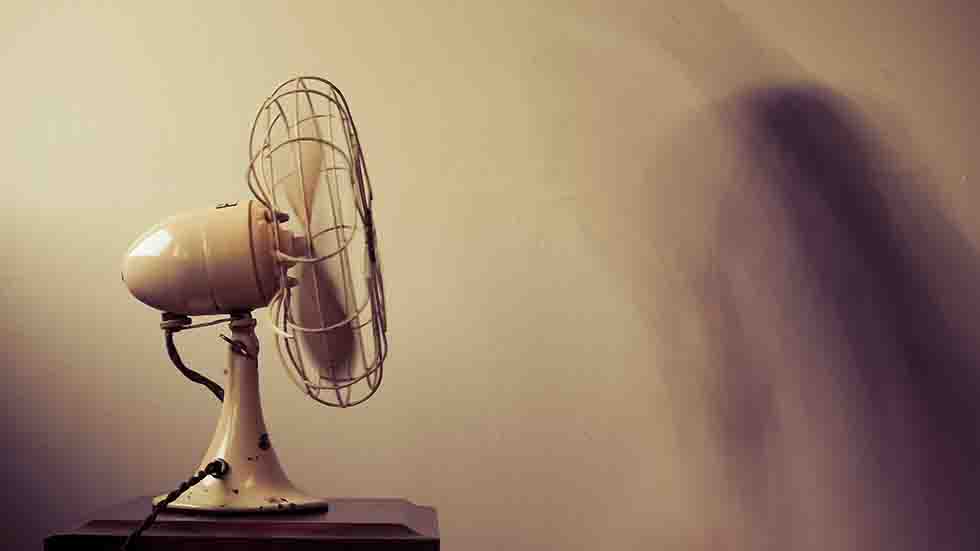 Fan