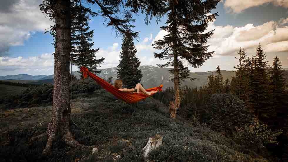 Hammock