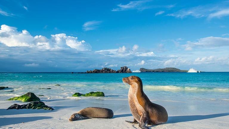 Galapagos