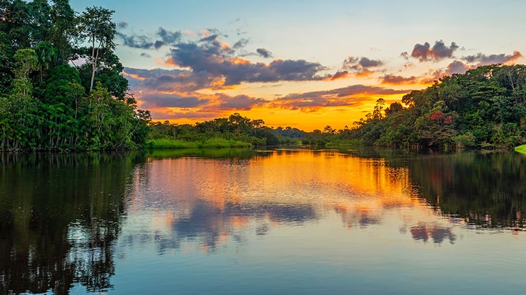 Peru Amazon