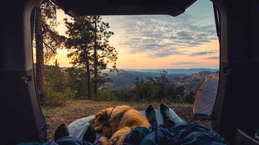 Waking Up