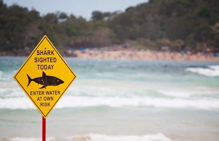 shark sighted sign on beach