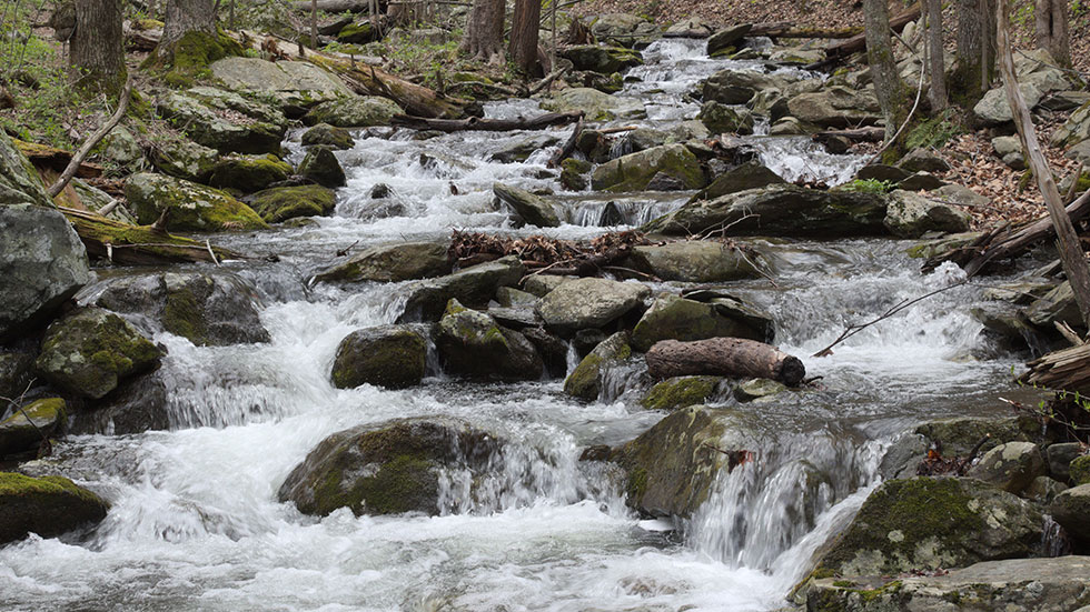Cascades at Shenandoah National Park. Photo by Jeff DeWitt/Unsplash