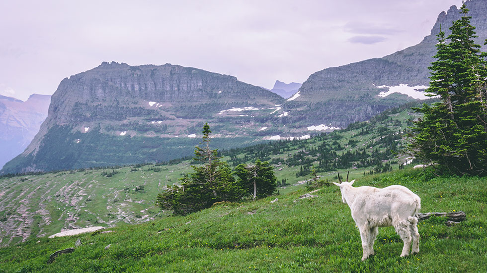 Glacier National Park
