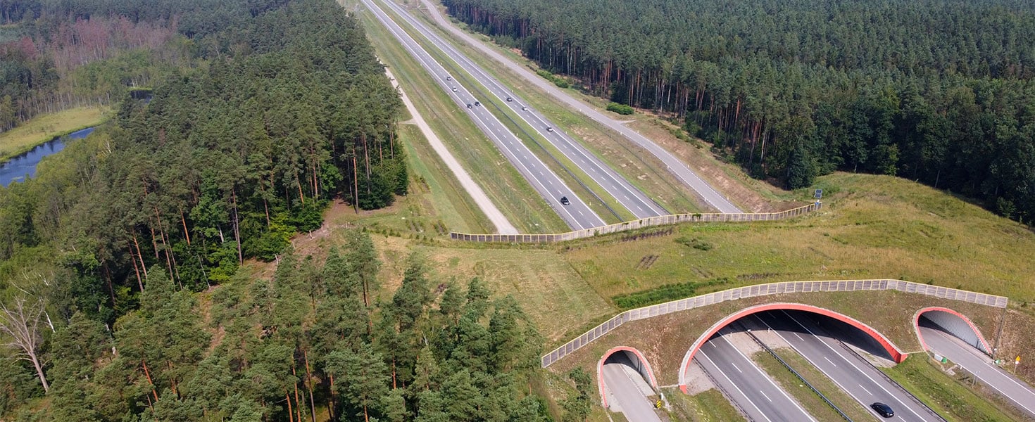 animal crossing overpass