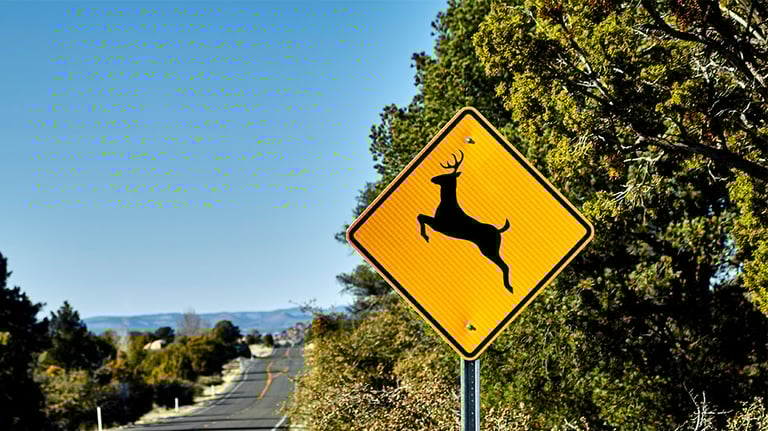 deer crossing sign