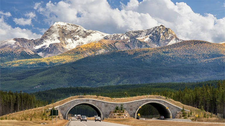 overpass built across Trans-Canada Highway