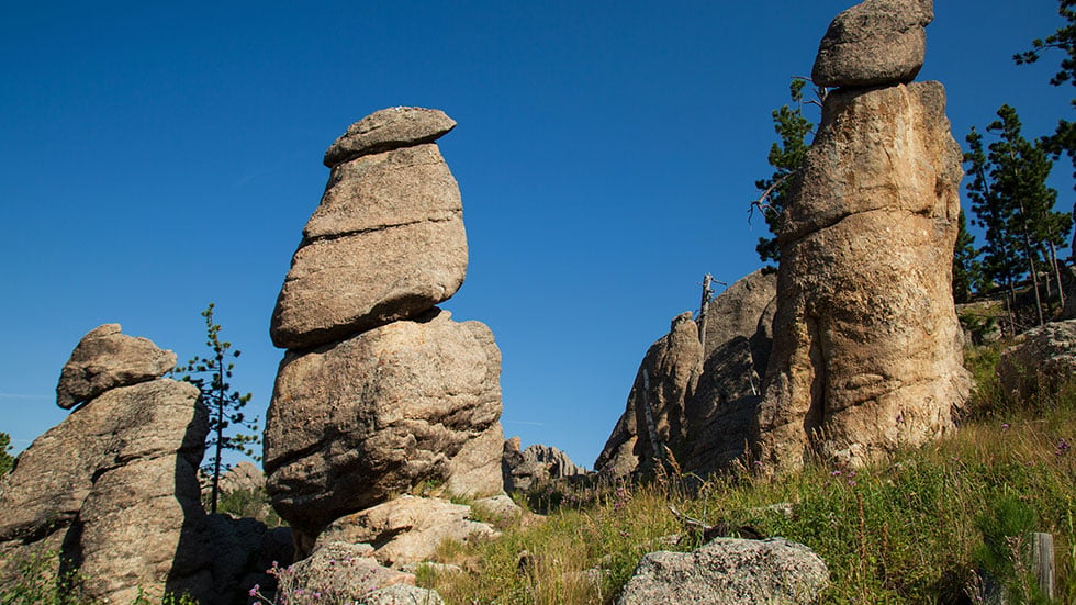 Custer State Park